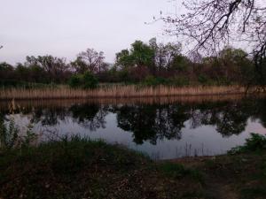 IMG_20180517_194136.jpg