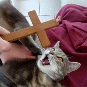 Кот одержимый диаволом.jpg