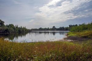 DSC_2158.jpg