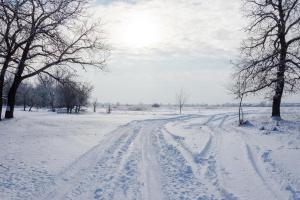 DSC_3001.jpg