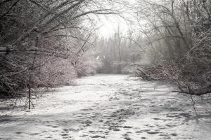 DSC_2998.jpg