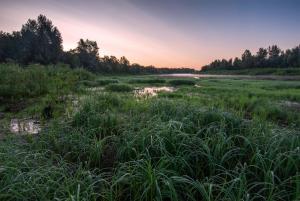 DSC_1914-HDR.jpg