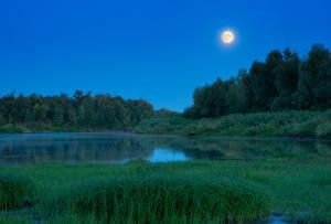 DSC_1882-HDR-1.jpg