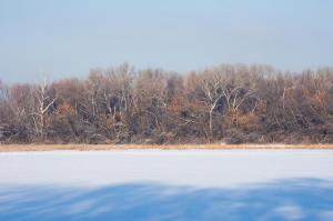 DSC_2991.jpg