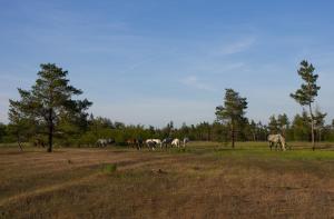 DSC_0838.jpg