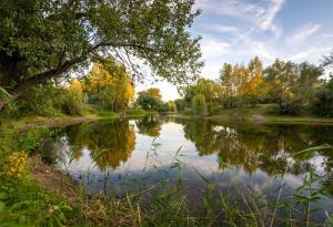 DSC_5771-Pano_1200.jpg