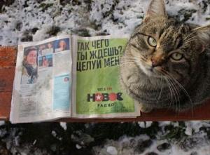 целуй же.jpg