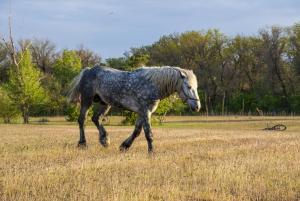 DSC_0877.jpg