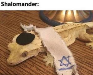 Шаломандра.jpg