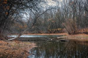 DSC_0020.jpg