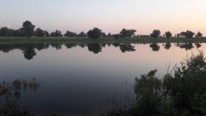 20180710_194318.jpg