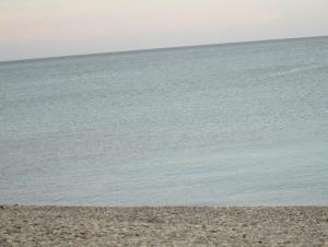 IMG_0036.JPG
