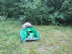 IMG_0018.JPG