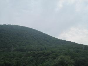 IMG_0021.JPG