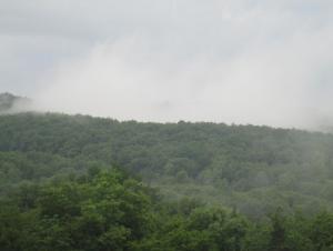 IMG_0008.JPG