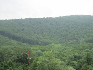 IMG_0022.JPG