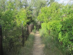 img_0112_jpg.jpg