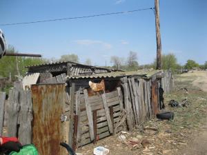 IMG_4123.JPG