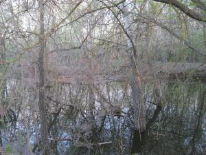IMG_3990.JPG