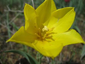 IMG_3821.JPG