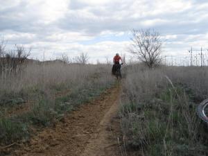 IMG_3812.JPG