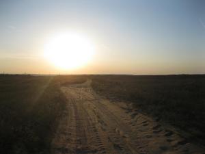 IMG_4152.JPG