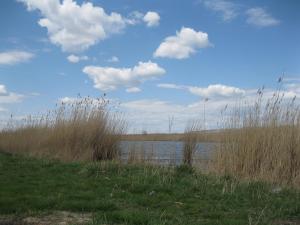 IMG_3878.JPG
