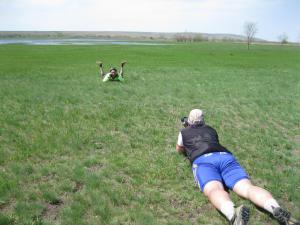 IMG_4085.JPG