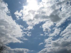 IMG_3806.JPG