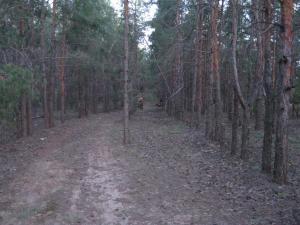 IMG_4160.JPG