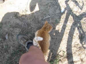 IMG_4122.JPG