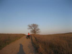 IMG_4151.JPG