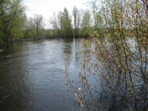 IMG_4110.JPG