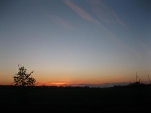IMG_3999.JPG