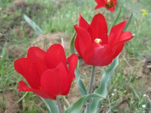 IMG_3861.JPG
