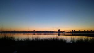 IMAG0993.jpg