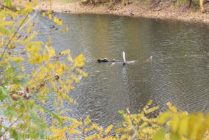 IMG_2766.JPG