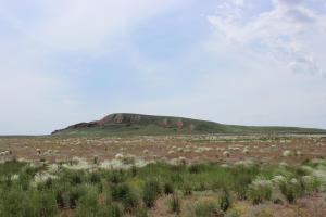 IMG_2316.JPG