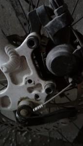 IMAG0647.jpg