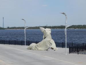 DSCN2580.JPG