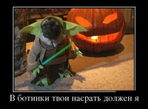 yoda.jpg