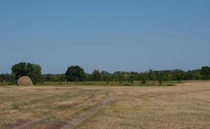 DSC_1939.jpg