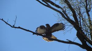 IMG_2100.JPG