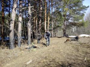 IMG_20180401_145221.jpg