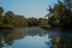 DSC_0438-1.JPG