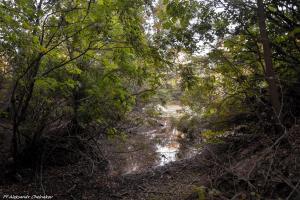 DSC_0141-1.JPG