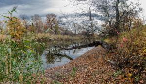DSC_0192-Панорама-1.JPG