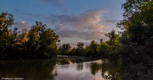 DSC_0237-HDR-2.JPG