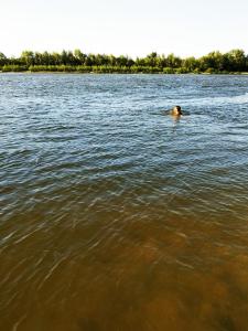 IMG_20190613_182620.jpg