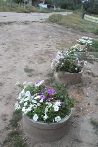 DSCF9181.JPG